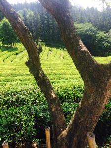 11264396_10204485349633950_1336477827_n