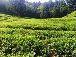 11289912_10204485333633550_1794486768_n-2