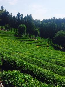 11350146_10204485334313567_1605627373_n